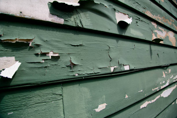 Best Hoarding Cleanup  in Merion Station, PA